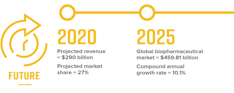 infograph3