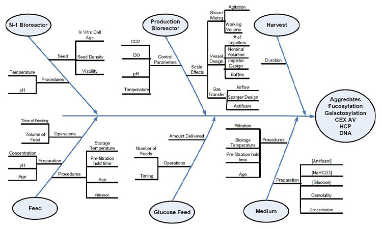 Figure 3. Fishbone diagram