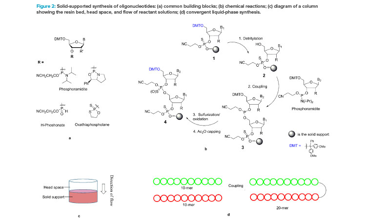 Figure 2: Solid-supported synthesis of oligonucleotides: (a) common building blocks; (b) chemical reactions; (c) diagram of a column showing the resin bed, head space, and flow of reactant solutions; (d) convergent liquid-phase synthesis.