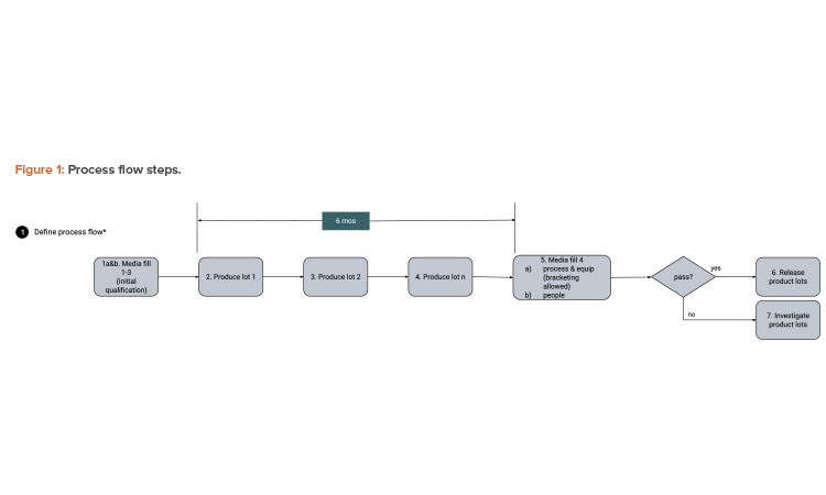 Figure 1: Process flow steps.