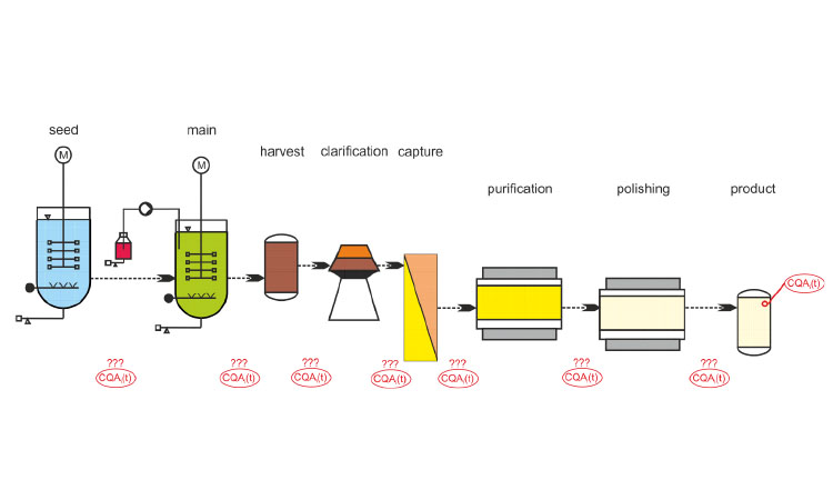 Continuous Manufacturing in Biotech Processes - Challenges for Implementation