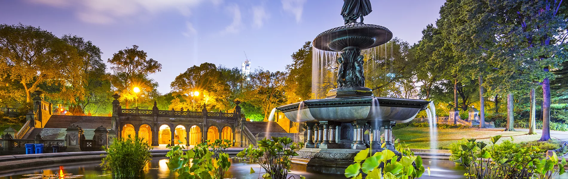 Bethesda Terrace & Fountain