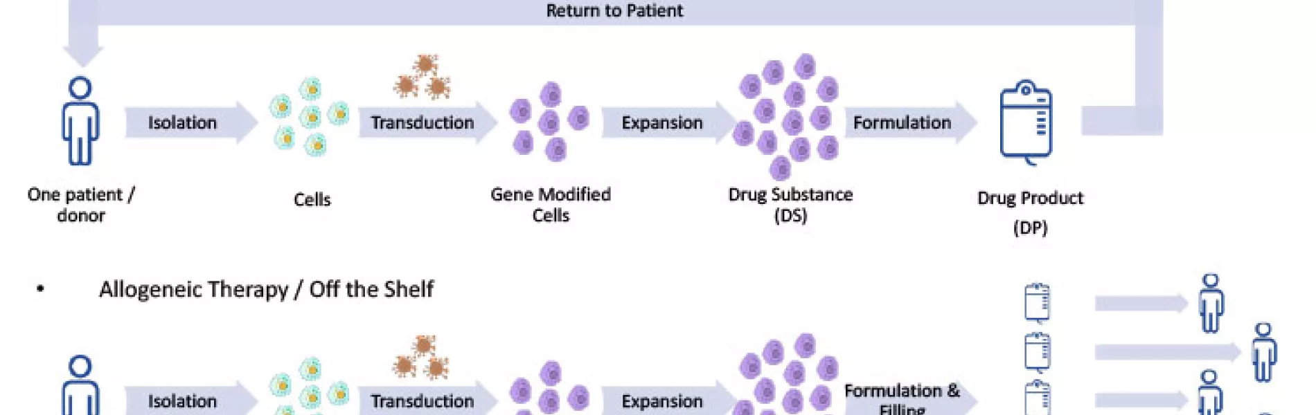 Figure 1: Cell therapy life cycles.