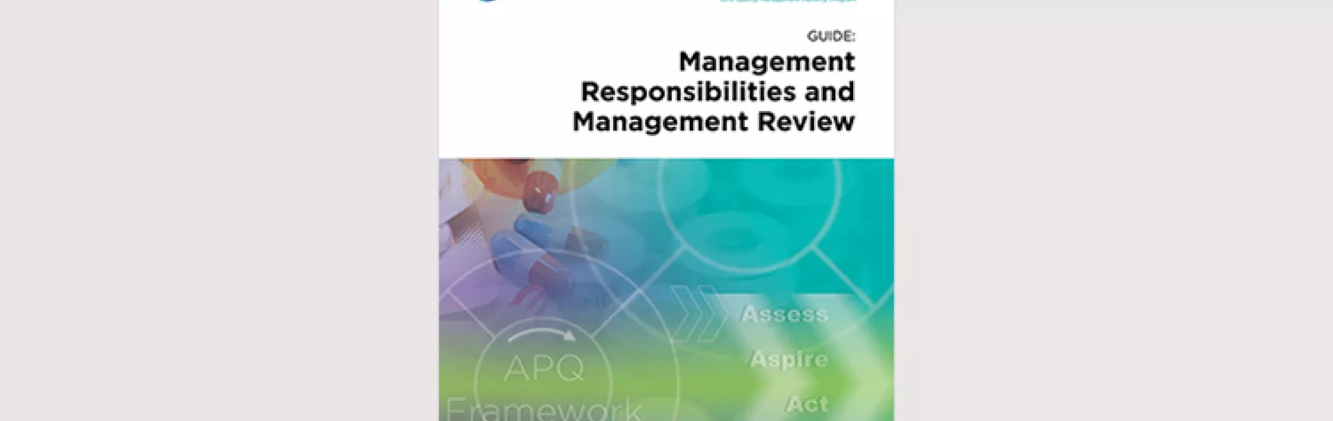 APQ Guide: Management Responsibilities & Review (MRR)